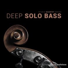 8Dio Studio Quartet Series Deep Solo Bass