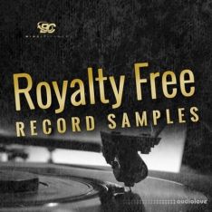 Big Citi Loops Royalty-Free Record Samples