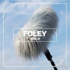 Blastwave FX Foley Vol. 2