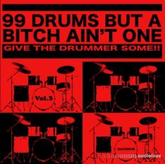 Daydrum 99 Drums But A Bitch Ain't One Vol.3