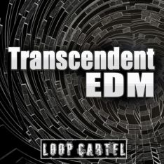 Loop Cartel Transcendent EDM