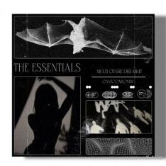 Sampleswave The Essentials Multigenre Drumkit