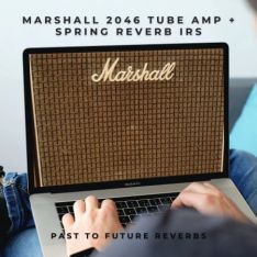 PastToFutureReverbs Marshall 1972 2046 Specialist Tube Amp Spring Reverb And Delay IRs