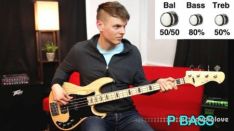 Nate Navarro P BASS VS J BASS Harley Benton Edition