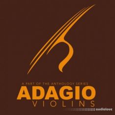 8Dio Adagio Violins