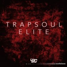 Big Citi Loops Trapsoul Elite