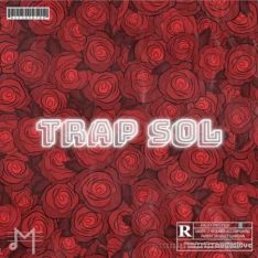Major Loops Trap Sol