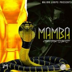 Major Loops Mamba