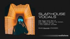 RAGGED Slap House Vocal Pack Volume 2