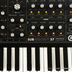 Looma Moog Sub37 Oneshot Sample Pack