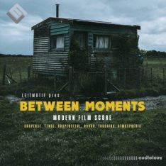 Leitmotif Between Moments: Modern Film Score