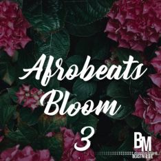 Beast Mode Afrobeats Bloom 3