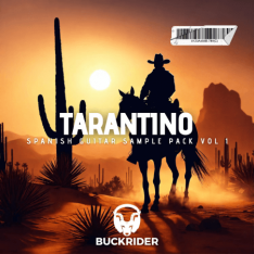 Buckrider Spanish Guitar Loops Vol.1