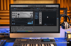 fiedler audio Plug-ins Bundle