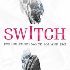 Dieguis Productions Switch