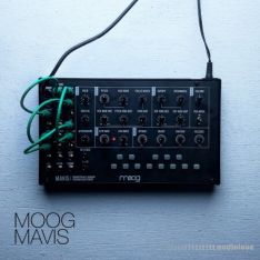 David Hilowitz Moog Mavis + Experiments [Patreon Exclusive] [Decent Sampler]