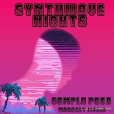 Moodset Music Synthwave Nights