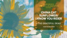 Truefire Dave Isaacs' Song Lesson: China Cat Sunflower I Know You Rider