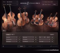 Native Instruments Session Strings Pro 2