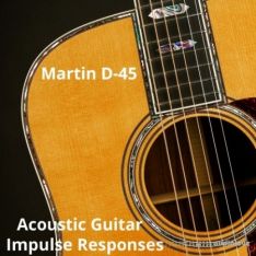 PastToFutureReverbs Martin D-45 Acoustic Guitar Impulse Responses