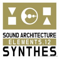 Cari Lekebusch Sae 12 (Synthes)