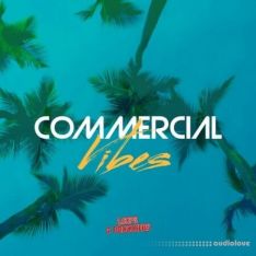 Loops 4 Producers Commercial Vibes