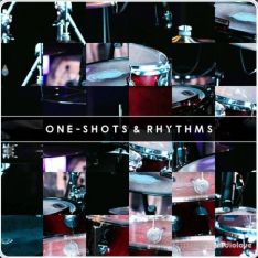 Analog Samples Drum Samples Oneshots and Rhythms