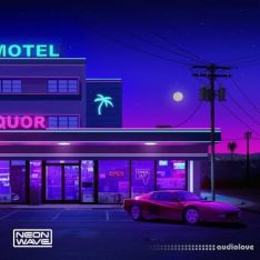 Neon Wave Rhythmic Nights - Cyberfunk Chronicles