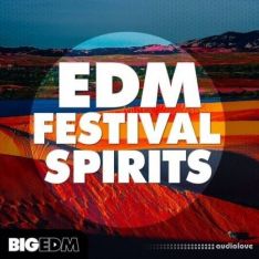 Big EDM EDM Festival Spirits