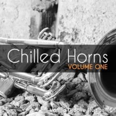 Vanilla Groove Studios Chilled Horns Vol.1