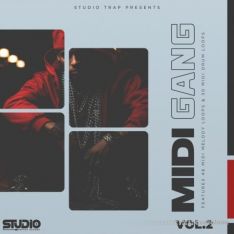 Studio Trap Midi Gang Vol 2