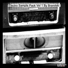 Brandski Electro Sample Pack Vol 1 By