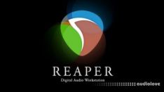 Udemy Reaper Daw Diy Course