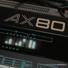 Looma Akai Ax80 Oneshot Sample Pack