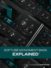 Groove3 Softube Monoment Bass Explained