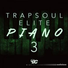 Big Citi Loops Trapsoul Elite Piano 3