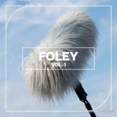 Blastwave FX Foley Vol. 1