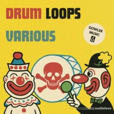 GowlerMusic Drum Loops Various Royalty Free Sample Pack #gm0120
