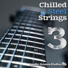 Vanilla Groove Studios Chilled Steel Strings Vol.3