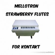 PastToFutureReverbs Mellotron Strawberry Flute