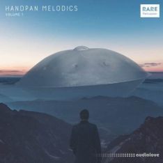 RARE Percussion Handpan Melodics