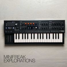 David Hilowitz Minifreak Explorations [Patreon Exclusive] [Decent Sampler]