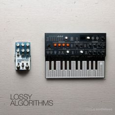 David Hilowitz Lossy Algorithms [Patreon Exclusive] [Decent Sampler]