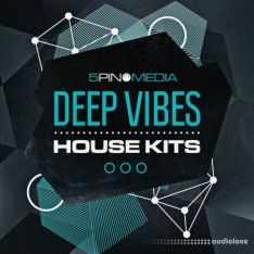 5Pin Media Deep Vibes House Kits