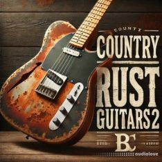 Big Citi Loops Country Rust Guitars 2