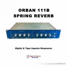 PastToFutureReverbs Orban 111b Spring Reverb