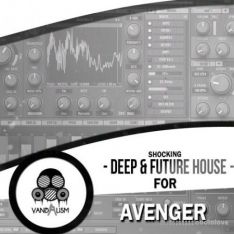 Vandalism Shocking Deep and Future House For Avenger