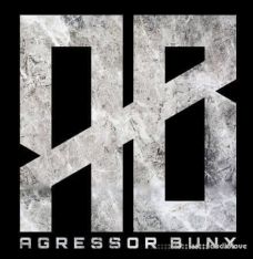 Agressor Bunx Serum Drum n Bass Presets Patreon Pack Vol.1-10