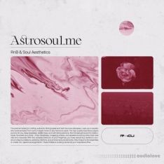 Renraku Astrosoul - RnB and Soul Aesthetics