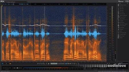 iZotope RX 5 Advanced Audio Editor